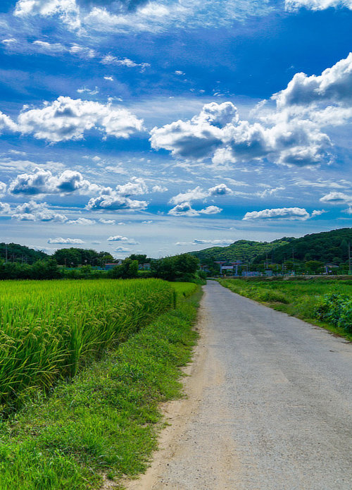 rurual internet provider